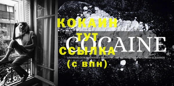 дмт Киреевск
